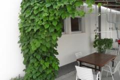 Apartmaji Car-Bruna Apartma 3 – Apartman 5 foto 3