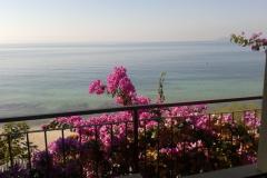 Apartmaji Jure Apartma 2: (2+2) – apartman1 foto 1