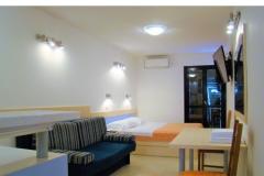Apartmaji Lavica Apartma 5: (2+2) – I3 foto 4