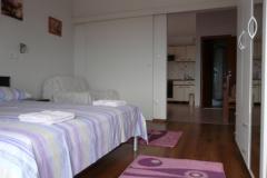 Apartmaji Nika Apartma 3 – apartman foto 3