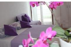 Apartmaji SARA Apartma 2: (2+0) – studio apa foto 1
