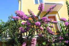 Apartmaji Podstrana Apartma 2 – Apartman 2 foto 3