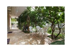 Apartmaji Bougainvillea Apartma 3 – apartman foto 4