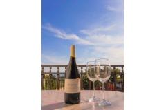 Apartmaji Mediterano Apartma 2 – APARTMAN 4 foto 5