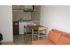 Apartmaji Todorić Apartma 1 – Apart br 1 foto 3