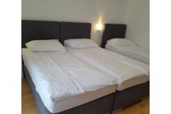 Apartmaji Dragica! Apartma 1 – A br.1 foto 4