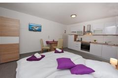 Apartmaji Stanic Apartma 2 – Studio foto 4