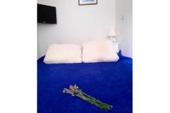 Apartmaji Gracia Soba 2 – BonsaiRoom foto 4