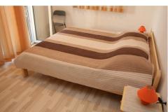 Apartmaji Jopa Apartma 2 – A4 foto 1