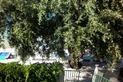 Apartmaji 10 metara od mora Apartma 3 – Ap.3 foto 1