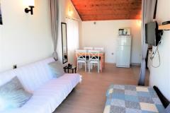Apartmaji Martin Apartma 1 – Apartman 1 foto 3