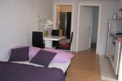 Apartmaji 255 Apartma 1 – AP1 foto 5