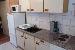 Apartmaji Joza Apartma 1 – A1 foto 3
