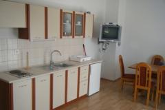 Apartmaji Mlađo Apartma 1 – A1 foto 3