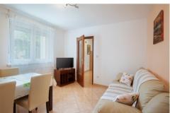 Apartma Kranjac Apartma 1 – Kranjac foto 3