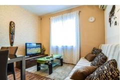 Apartma M&amp;M Apartma 1 foto 5