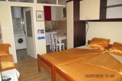 Apartmaji Polomčić Apartma 1 – Apartman 1 foto 1