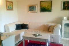 Villa Ariana Apartma 1: (4+0) foto 4