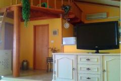 Villa Ariana Apartma 1: (4+0) foto 5