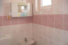 Apartmaji Desanka Apartma 3 – App 3 foto 5