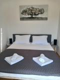 Apartmaji Mira Apartma 2 – Studio foto 4