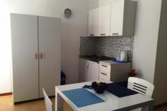 Apartmaji Maestro Apartma 2 – APP 2 foto 5