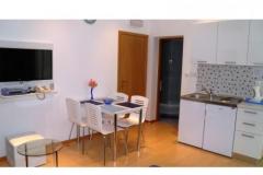 Apartmaji Maestro Apartma 3 – APP 3 foto 3