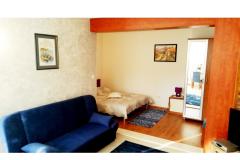  Rajcic apartmani Apartma 3 – studio2+1 foto 2