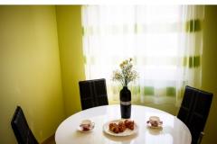 Apartmaji Kristina Apartma 1 – APARTMAN 1 foto 3