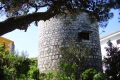 Počitniški dom Stari mlin Apartma 1 – Stari mlin foto 1