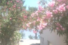 Počitniški dom Milenka Apartma 2 – apartman foto 3