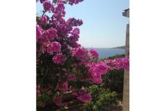 Vesna apartmani Apartma 2 – A2 foto 1
