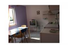 Apartmaji Oriana Apartma 1 – A2 foto 3