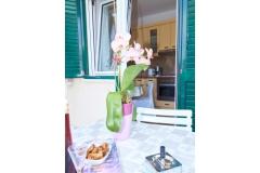 Apartmaji Baković Apartma 1 – Franka foto 5