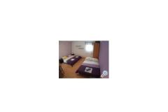 Apartmaji Monika Apartma 3 – Apartman 3 foto 2