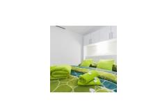 Apartmaji Antonia Apartma 2 – GREEN APP foto 1