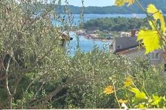 Apartmaji Nina  Apartma 1 – SMEĐI foto 1