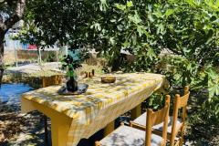 Beach Hiša Apartma 1 – GARDEN foto 3