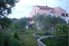 Dalmatian Apartma 2 – apartman foto 2
