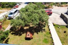 Apartmaji Villa Magnolija Apartma 3 – apartman 3 foto 4