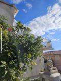 Villa Aura Maris Apartma 1 – Aura Maris foto 5