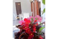 Villa Aura Maris Apartma 2 – Anka foto 2