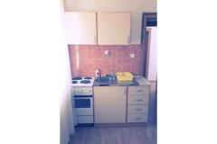 Apartmaji ELDI Apartma 3: (2+0) – Eldi 3 foto 3
