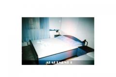 Apartmaji Jaman Apartma 1 – A1 foto 3
