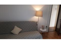 Apartmaji Dana Apartma 3 – APARTMENT foto 4