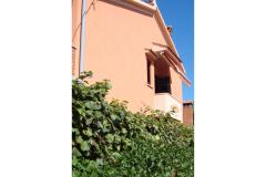 Apartmaji DARIO - Sukošan Apartma 1 – APP 1 foto 1