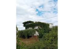 Apartmaji Maja Apartma 2 – APARTMAN 2 foto 5