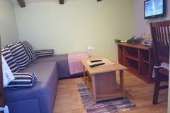 Apartmaji Tamara Apartma 3 – APP4+1 foto 3