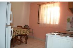 Apartmaji Fedor Apartma 1 – Ap2 foto 4