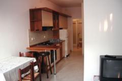 Apartmaji Adi Apartma 2 – A2 foto 5